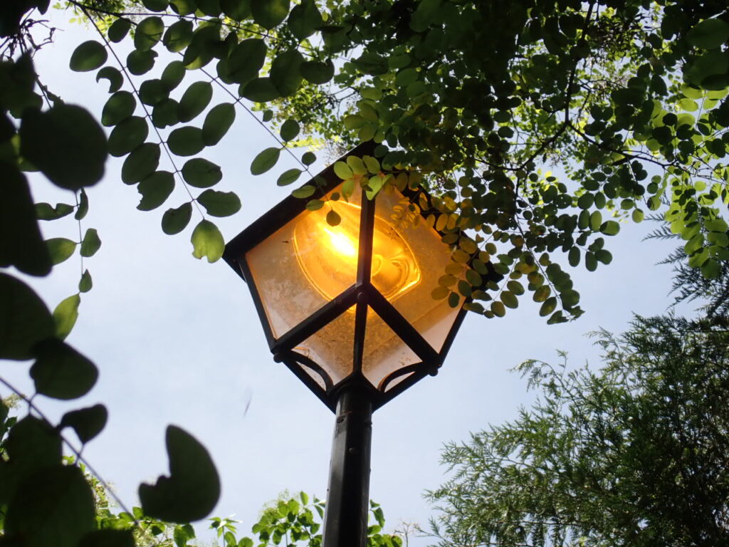 Exemple de photo prise lors des diagnostics d'éclairage public. 
Sommet d'un lampadaire d'éclairage public, avec une ampoule allumée qui diffuse une lumière jaune. Le lampadaire apparaît au milieu de feuillage vert de plusieurs arbres autour du lampadaire.  - Agrandir l'image, fenêtre modale
